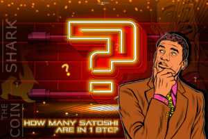 bitcoin's particles satoshi