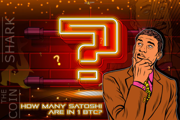 bitcoin's particles satoshi